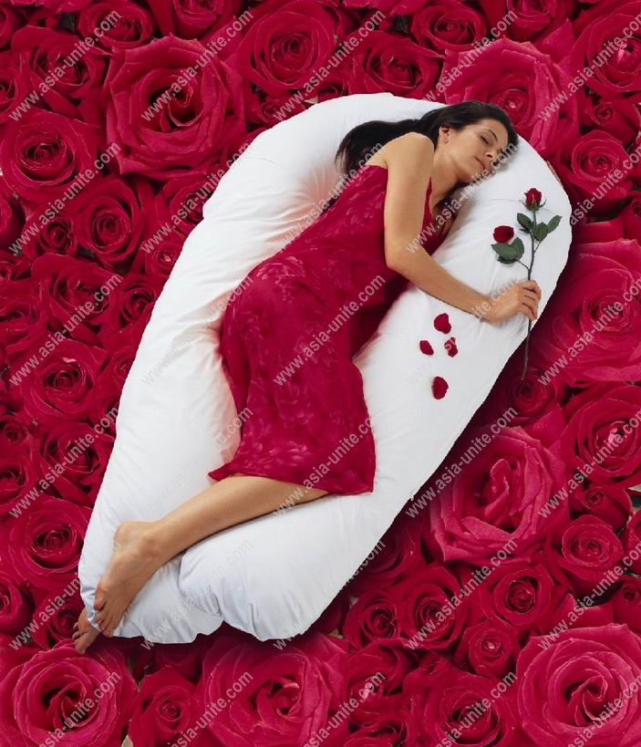 Comfort U Body Support Pillow