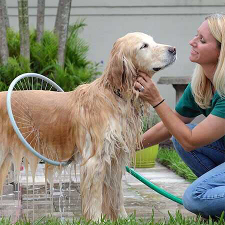Dog Washer 360