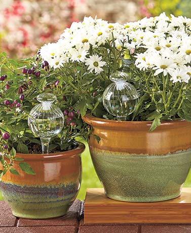 Set of 2 Glass Aqua Globes